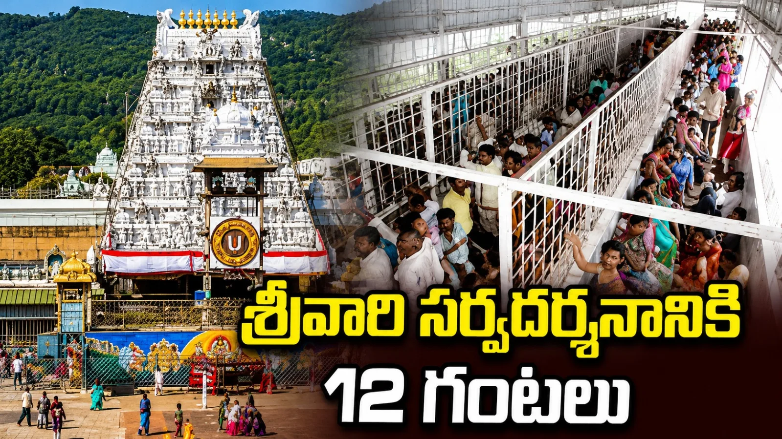 శ్రీవారి సర్వదర్శనానికి 12 గంటలు.. వైకుంఠం క్యూ కాంప్లెక్స్‌లో భక్తుల రద్దీ